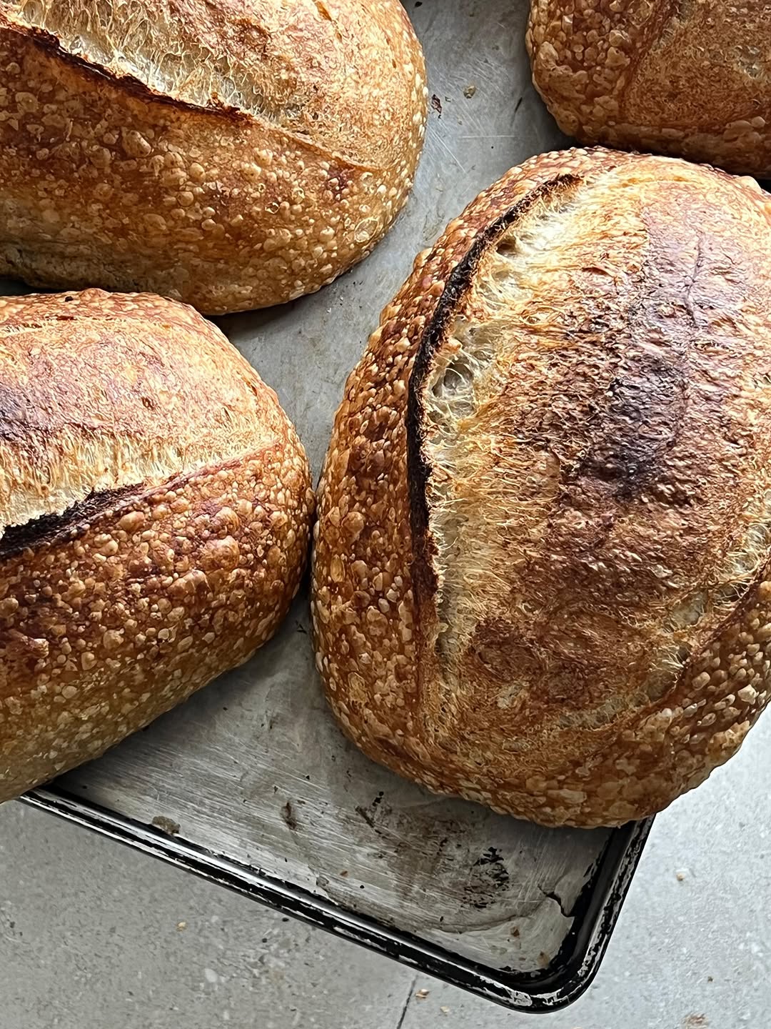 Signature Sourdough loaves